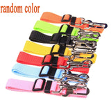 Dog Leash Pet Walking Leash Automatic Retractable Nylon Cat Lead Extension Puppy Walking Running Lead Roulette For Dogs harness